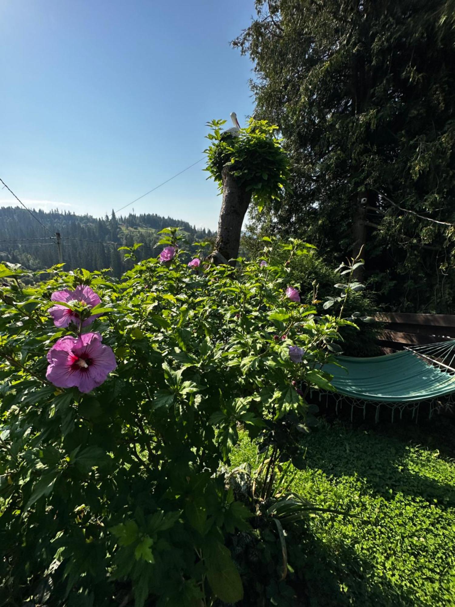Казковий Дім Та Garden Два Будиночки В Горах З Чаном-Джакузі Slavske Bagian luar foto
