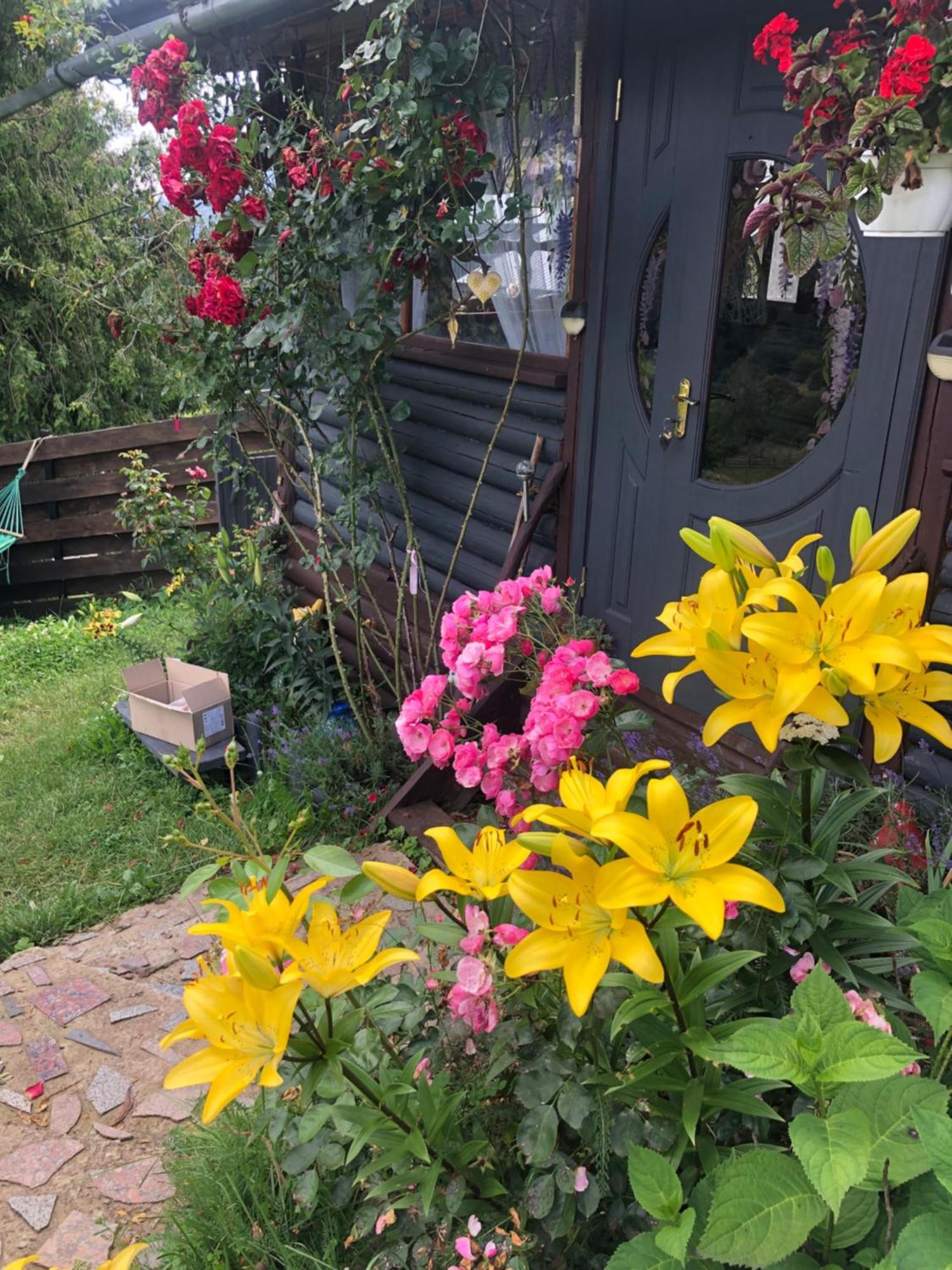Казковий Дім Та Garden Два Будиночки В Горах З Чаном-Джакузі Slavske Bagian luar foto