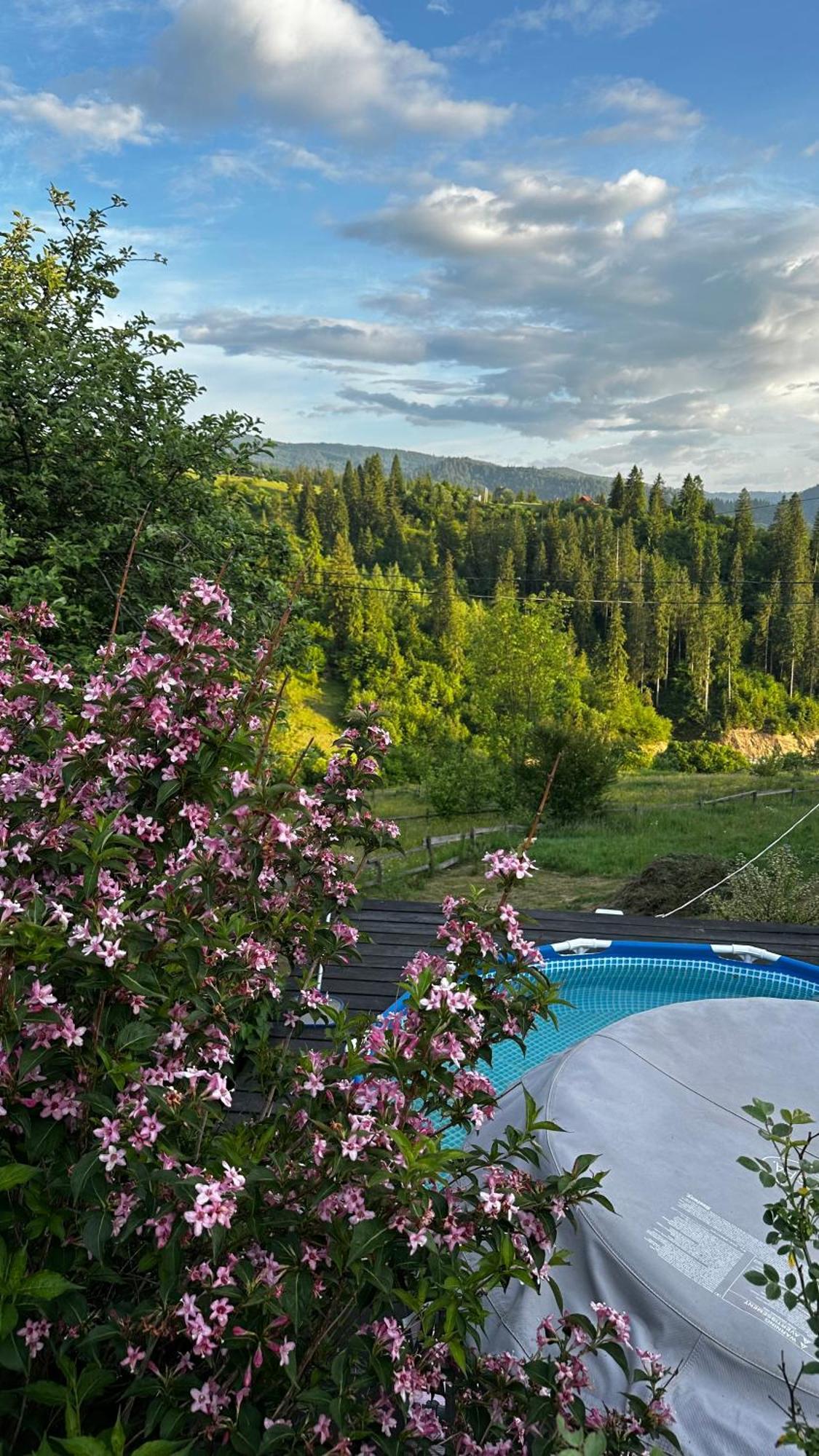 Казковий Дім Та Garden Два Будиночки В Горах З Чаном-Джакузі Slavske Bagian luar foto